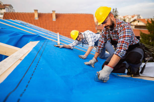 Best Metal Roofing Contractor  in Maryville, TN